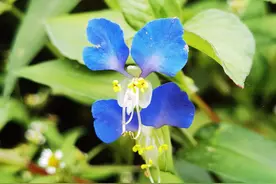 网络时代的热词总结，还有不周全的请友友们指证图片