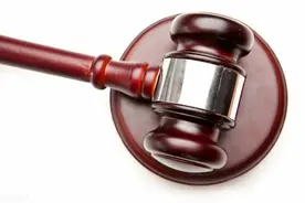 只有借条到法院起诉，法官说了，让被告提供证据图片