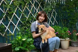 90后夫妻用4年时间，在魔都造了60平米花园，遛狗逗猫，好不惬意图片