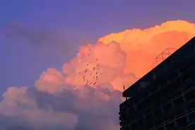 没有小聪明只有大智慧的星座，不争不抢大智若愚，真正的人生赢家图片