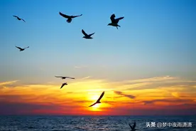 天命难违，天蝎座图片
