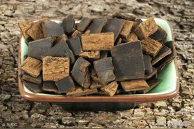 你见过中药材杜仲吗？干巴巴的一张树皮，用来炒腰花居然挺好吃图片