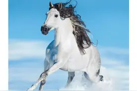 ~~近期头条关注栏这块风起雲涌，真可谓暗流湧动啊！大家怎么看？图片