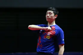 盘点“劳模”许昕，2019年勇夺21冠的艰辛与快乐图片