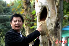 “树洞”中的人工智能教授带领志愿者与死神缠斗图片