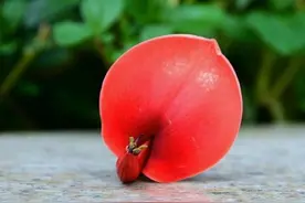 穷人为什么穷，富人为什么富，背后秘密是什么？图片