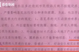广东东莞一社区发通知鼓励捕杀流浪狗？每杀一只奖200元图片
