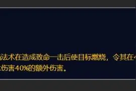 魔兽怀旧服DEBUFF位管理原则图片
