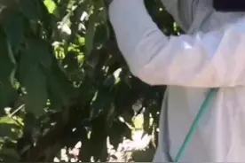 出国打工劳务派遣哪个国家最赚钱？图片