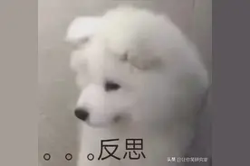 你经历过哪些尴尬到抠脚的口误？哈哈网友评论6到飞起图片