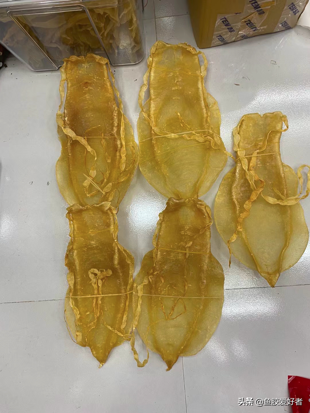 很厚的花胶 2026年很厚的花胶布