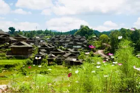 实拍贵州岜沙苗寨，这里有古老原始的习俗，当地村民用镰刀剃头图片