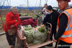 既是蔬菜又是中药材，还能制成茶，蒲公英浑身是宝，为啥不能普及图片