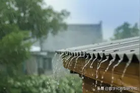 二年级语文-《我是什么》图片