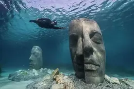 水下世界竟还有这么多人间惊奇图片