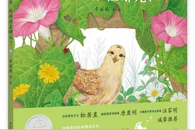 “2020中国绘本展”绘本亲子故事会精品推荐：《妈妈你在哪？》《妈呀！老虎来了！》《肉包子和铁包子》图片