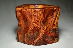 常见的木材分类你了解多少（附图）图片