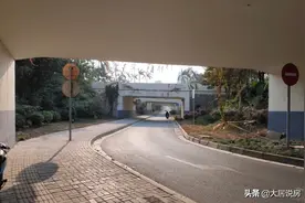 靠立交+绑车位，沙井新盘首开却亮眼，但7字头起房价太迷幻图片