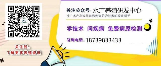 「赛有渔壮虾宝」调肠道 状体质 增收益