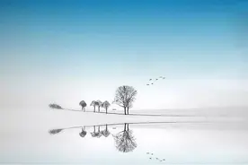 无人喝采（散文）图片