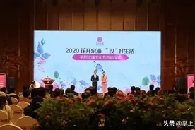 绚烂花事掀起“玫瑰涟漪”——探寻平阴玫瑰文化节的“美丽”力量图片