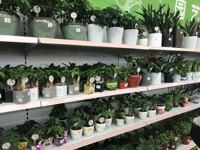 获客从触动你的用户开始,经典创意营销案例分析