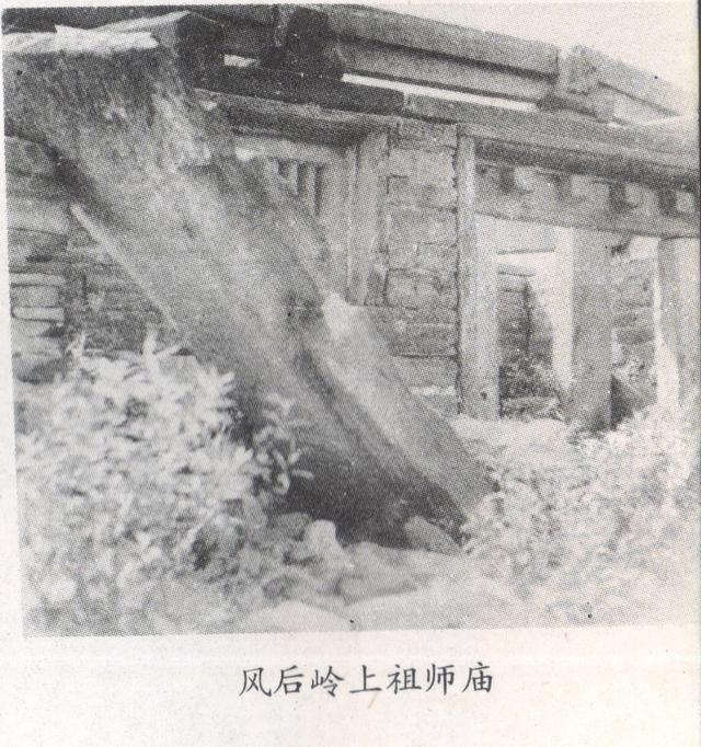 混珠是什么