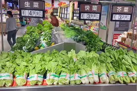 才知道，遇到这种白菜别买了，不怪菜农，教你一秒辨别“甲醛”菜图片