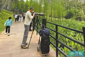 “空中云道”部分路段试运行　“五一”开放图片