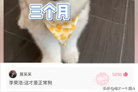 那些能笑出猪声的神评 四十六弹图片