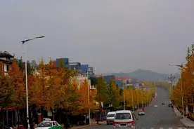 扬州一小镇“仙气飘飘”形似赵丽颖，被千强镇“砸中”，苏中第1图片