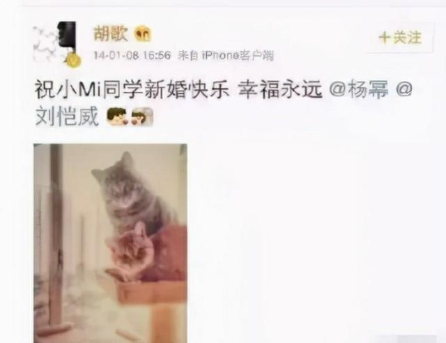 34岁的“流量女王”杨幂为何不再婚？细数被她迷倒的男明星们