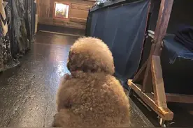 我在头条走过的最远的路，就是你吸粉的套路。图片