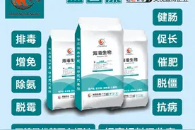 猪牛羊鸡必备成功之道图片