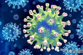 马来西亚惊现Mu和Lambda变种病毒图片