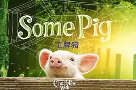 《夏洛的网》：一只灰蜘蛛和一头小小猪成了好朋友图片