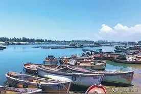 慢读丨海南澄迈这个古港口，鉴真、苏东坡都曾留下足迹图片