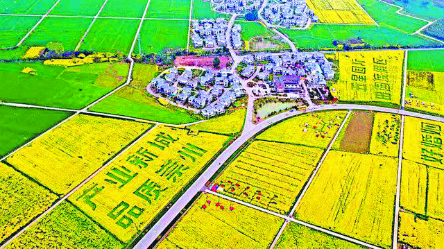 玩转自驾赏花节！崇州推出四条特色精品赏花路线