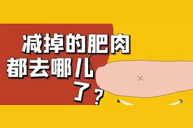 我们减肥减掉的脂肪，都到哪里去了？图片