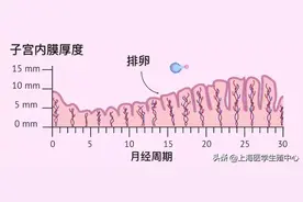 胚胎移植前，子宫内膜达到多少厚度才能好孕？图片