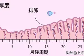胚胎移植前，子宫内膜达到多少厚度才能好孕？图片