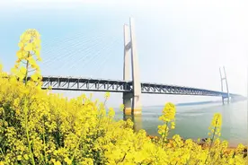 一文通读：中铁、铁建、铁总这几个“老铁”到底是什么关系？图片