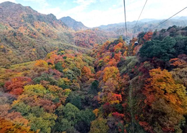 光雾山风景区最佳时间(光雾山景区内住宿推荐)