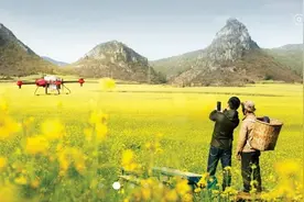 蚂蚁金服上市掀起造富运动，期权激励真的这么好用吗？图片