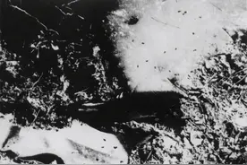 1952年，美国向志愿军发动细菌战，其源头竟是731防疫给水部队图片