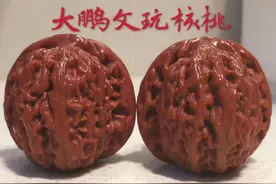 文玩核桃想像这样快速变红，品种也要选对啊图片