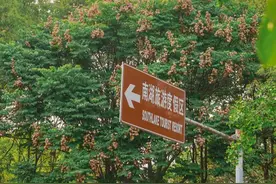 成都初代网红公园，南湖公园图片