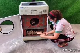 报废洗衣机能做什么？看大神一番魔改后让人直呼这创意太绝了图片