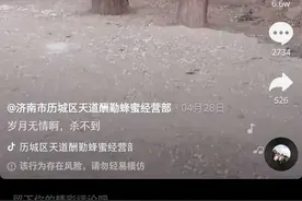 济南小伙搬水泥练出“轻功”两棵大树之间玩悬空一字马图片