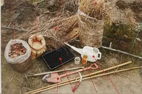 如何打造「自然农法」的畦？图片